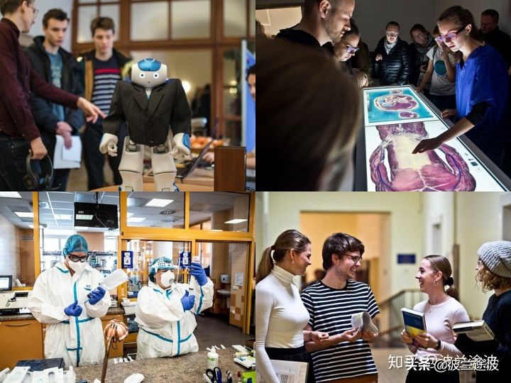 捷克留学 查理大学专业设置与申请解读