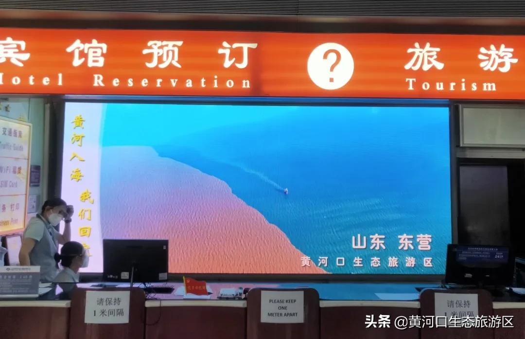 【黄河口生态旅游区】新晋百强 华东第一!