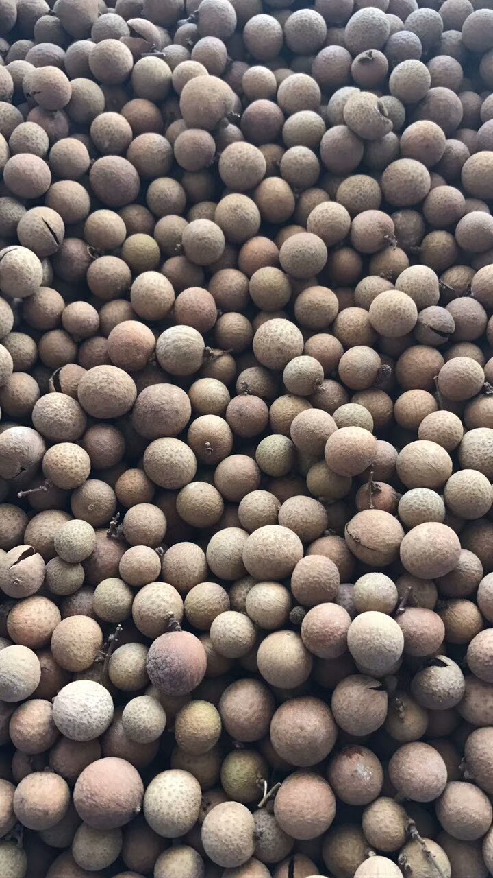 龍眼烘干機,龍眼烘干機批發 龍眼烘干機價格