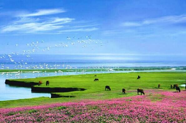 中国五大淡水湖,最大淡水湖鄱阳湖(3960平方公里)