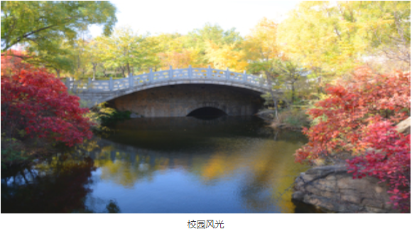 国家级一流本科建设点2个，泰山学院专升本这几个专业最看好！