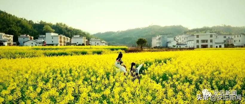 安远本土原创大电影《油菜花开》在双芫 镇岗 县城公映