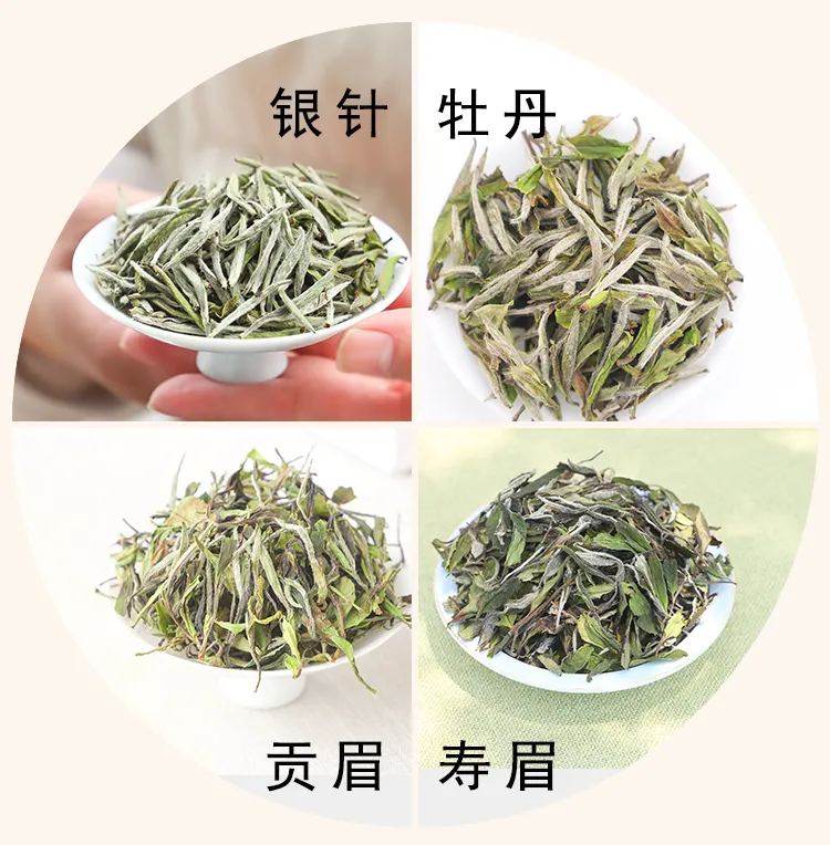 这些茶香味你感受过吗？（上）新白茶香气你喜欢哪种？吾雨茶课堂