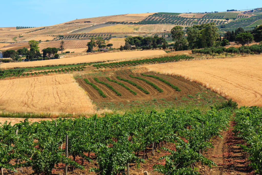 唐朝诗人韦应物写在惊蛰的五言诗，流传千古媲美白居易！