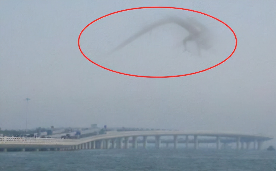 1995年，安徽曾有巨蟒渡劫，却被雷电击中飞升失败，是真是假？