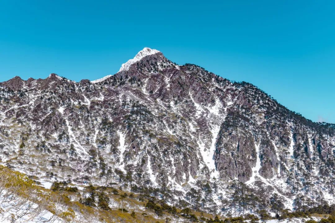 大理的风花雪月｜冬走春来，海拔3900米的苍山上依然冰天雪地