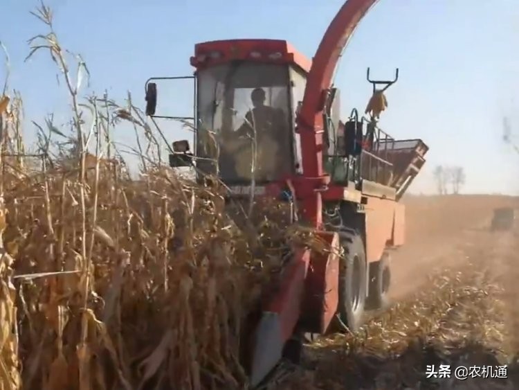 大品牌的产品更可靠，效益更高，买茎穗兼收玉米收获机认准牧神