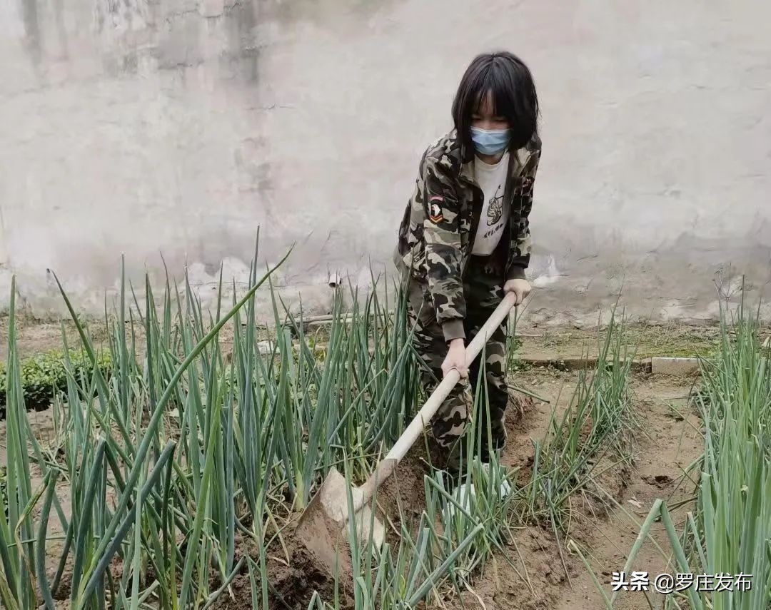 就在今晚，价格大幅上调！来了，罗庄新闻直通车