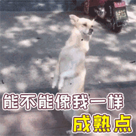 《初级会计实务》必会知识点：恋爱结婚VS会计基础