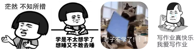 石门中学“双琳”带你解锁高考政治满分秘籍