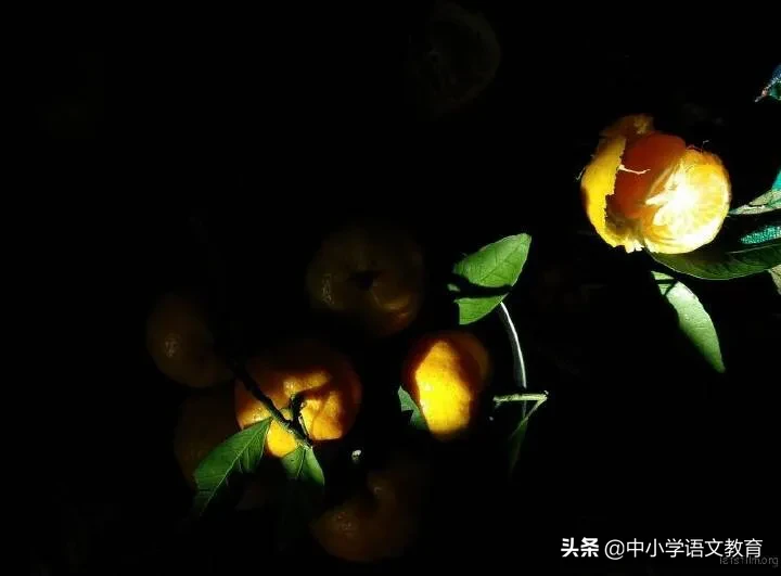 (每日一课)文言文学习:《唐雎不辱使命》带翻译和鉴赏!