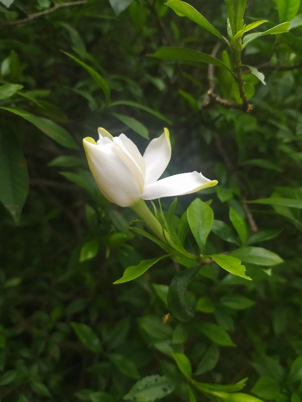 重庆理工大学花溪校区之吃喝玩乐篇