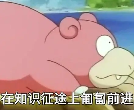 留学生可以在国内高校借读？清华、上交等等我