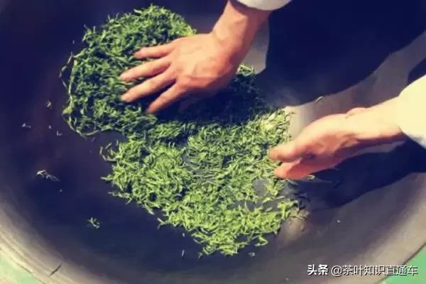 一字之差大不同,毛尖和毛峰不是一种茶,不要混淆了!