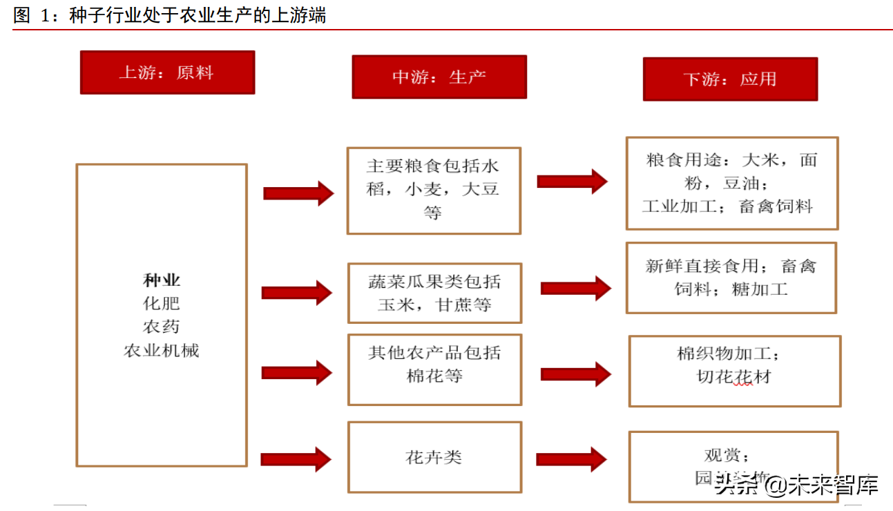 中国种业信息网官网,中国种业信息网官网大数据平台