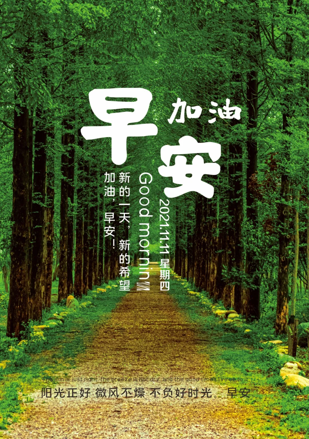 「2021.11.11」早安心语，正能量最新短句图片，双十一光棍节