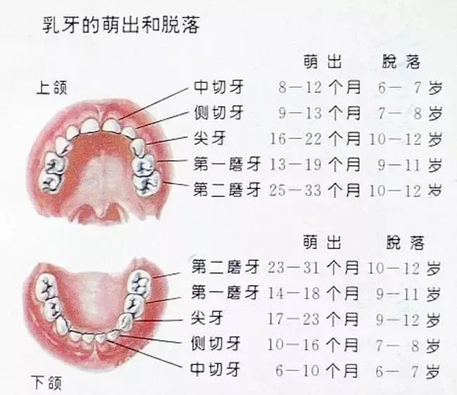 宝宝嘴里有很多小白点，那到底是什么？——宝宝常见的口腔问题