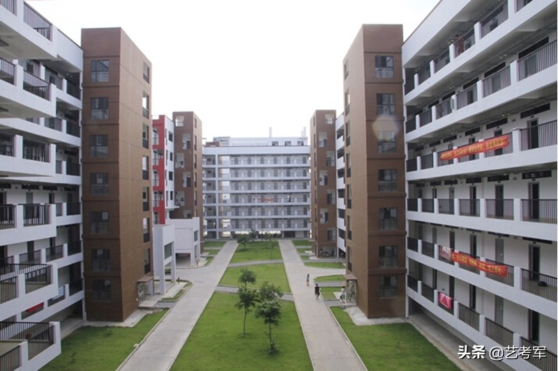 广西艺术学院：美术类艺考生不分文理科文化最低控制线305分