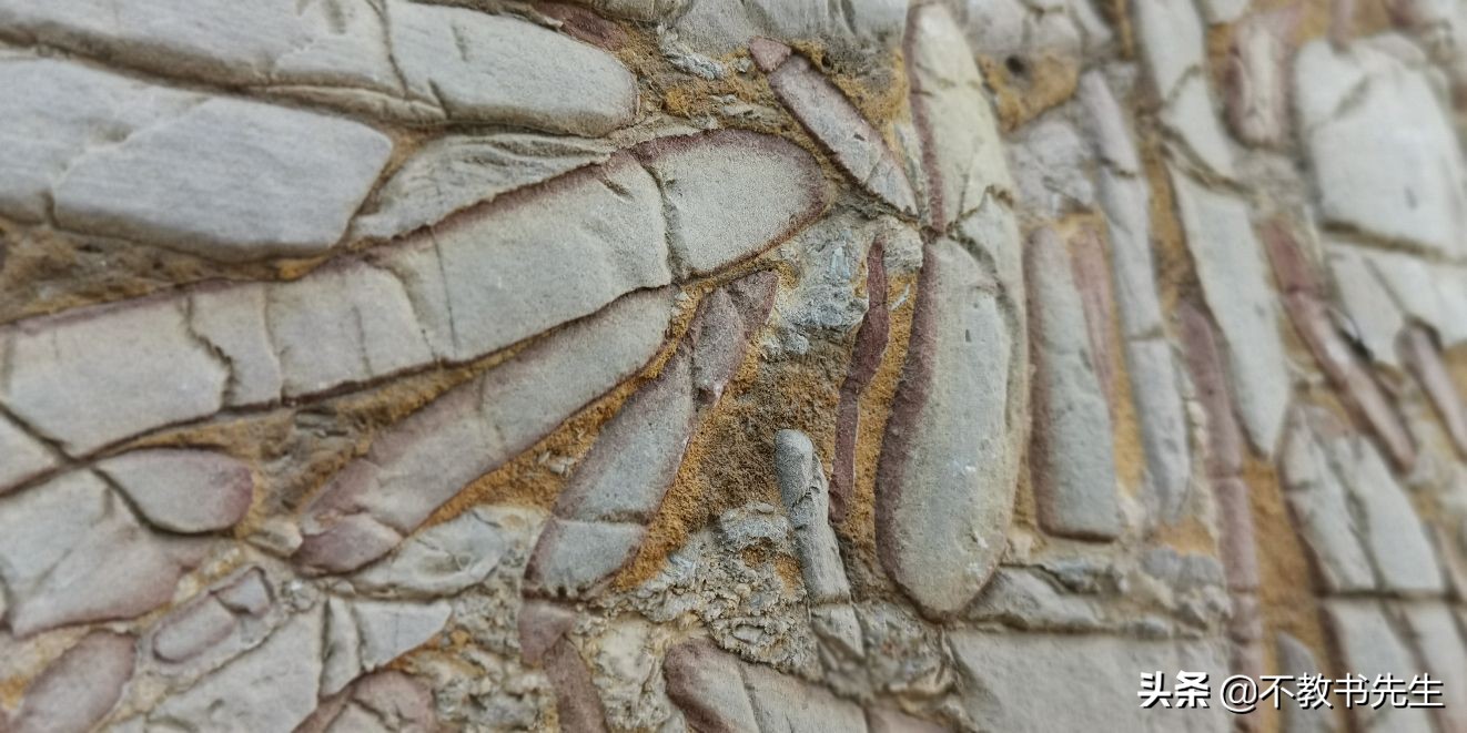 山东将再增加一所公办本科学院，地点在聊城，占地1000亩