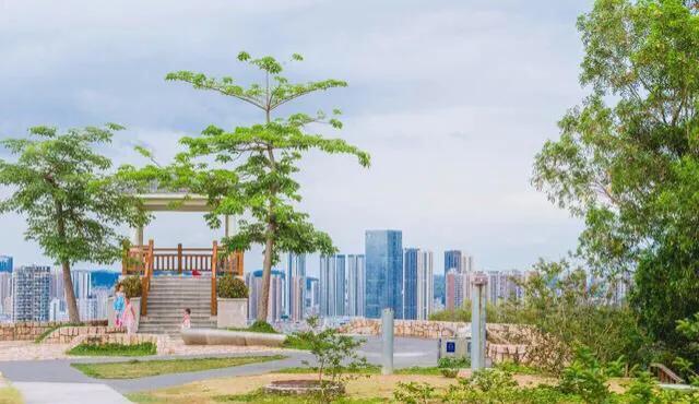 深圳十大免费特色的湖泊公园
