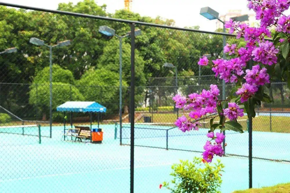 广东省华立技师学院2020年招生资讯