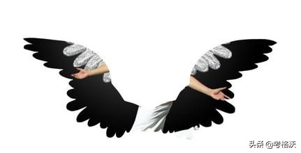 设计类专业解读