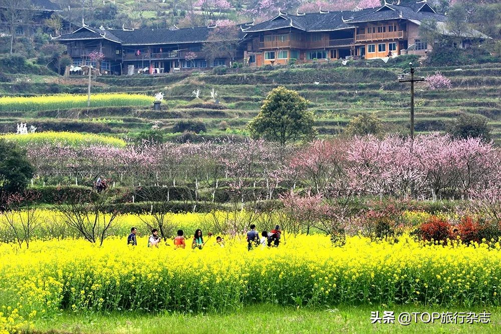 这座湖南小城有着华南地区最大越野赛车基地，真人版“速度与激情”杠杠滴