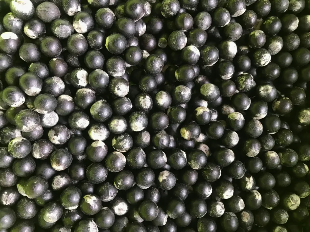 它是最古老的菩提手串,一斤才几十元,随便盘盘就出玻璃底