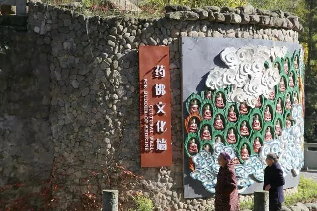 成都1.5刹拢!这个小众森林古镇,清凉耍水、网红拍照、喝茶休闲