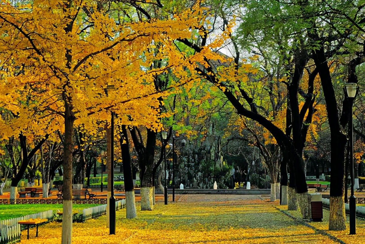 广东三所“唯利是图”的院校被曝光，学历没有效力，考生需谨慎