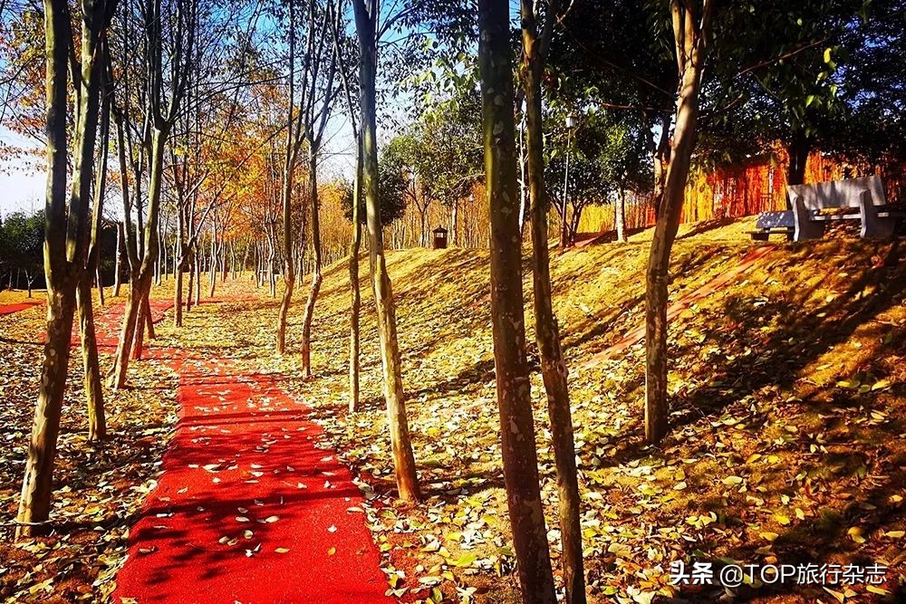 这座湖南小城有着华南地区最大越野赛车基地，真人版“速度与激情”杠杠滴