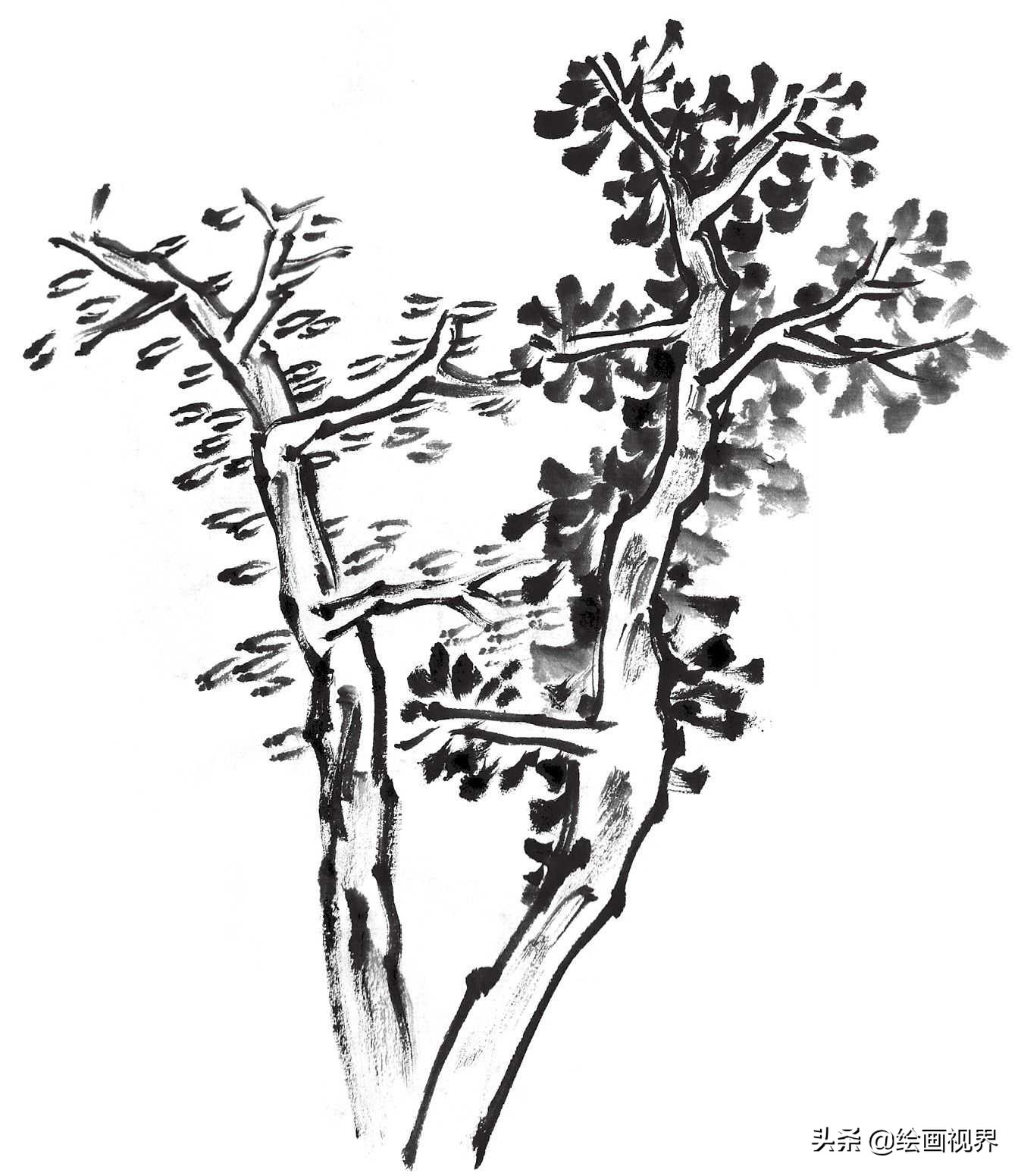 画国画树不会画？教你常见树的画法，简单易学，收藏起来临摹学习