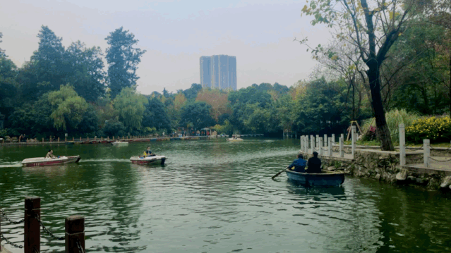 成都经典一日游：15个市内景点，地铁直达，全民撒欢玩