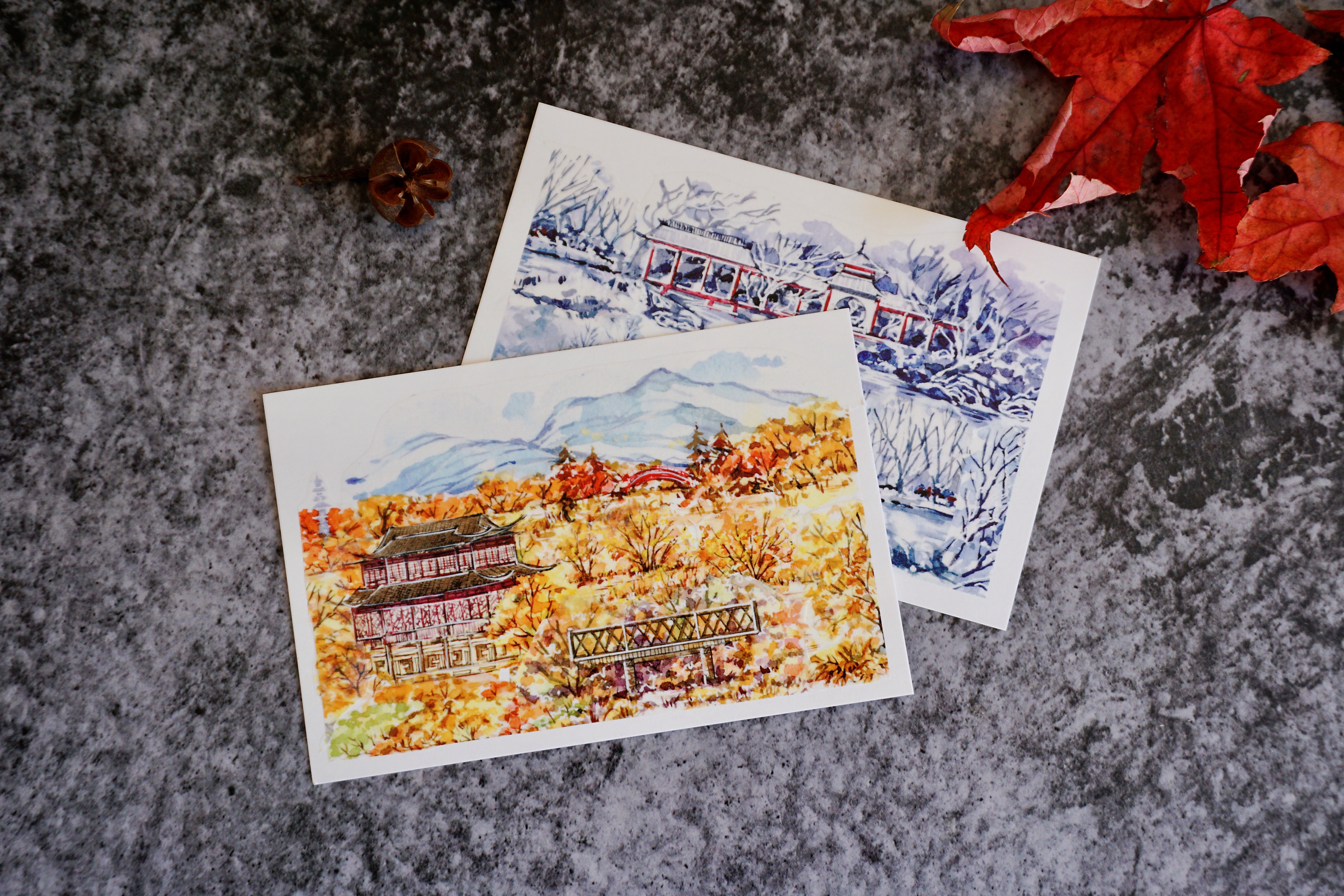 掉进一个叫“造景拼贴”的坑，从此越陷越深