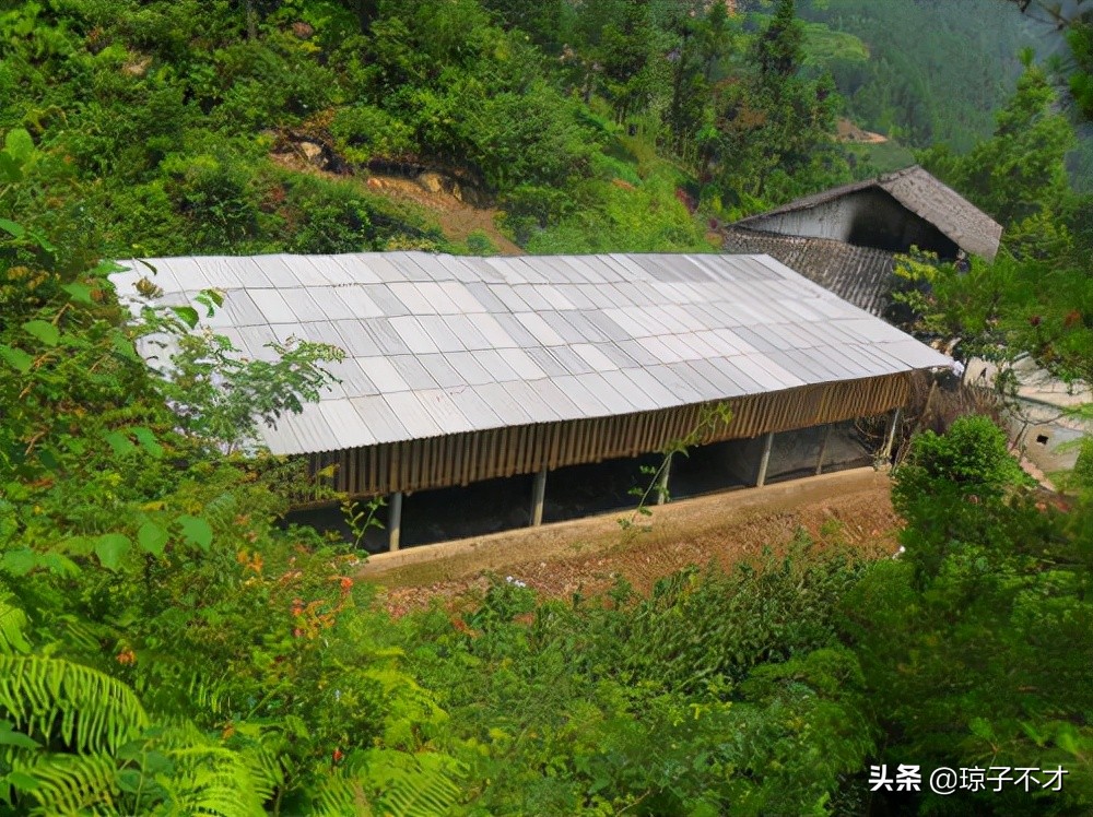 农村养羊,比较常见的几种羊圈,都是实景图