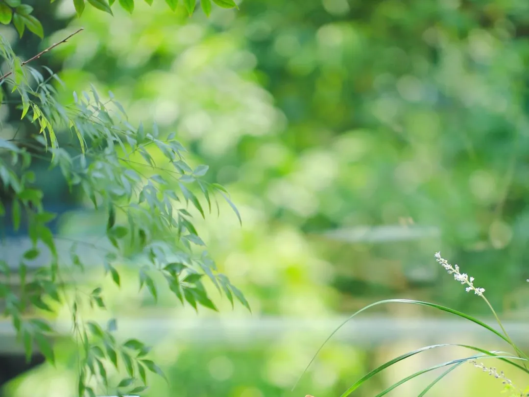 这180句最经典的诗词，道尽了人一生最珍贵的3种感情