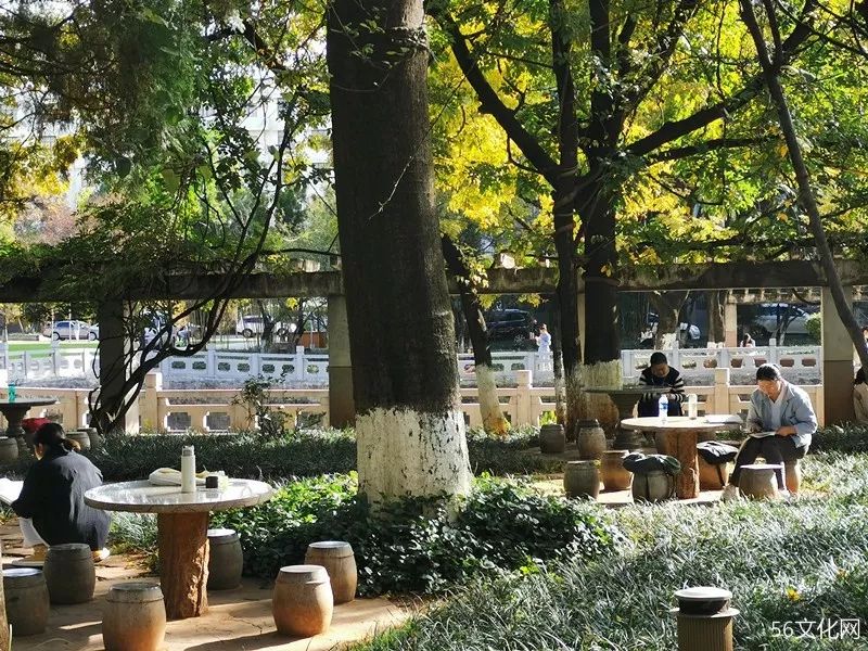 联大｜这所学校仅存在8年，却名家荟萃！（上）