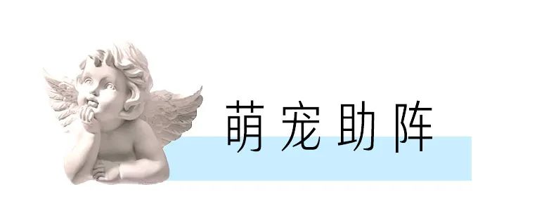 简单浪漫的求婚方案（浪漫的爱情告白分享）