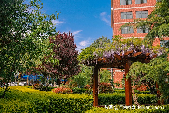 高职扩招——开封文化艺术职业学院高职扩招单独考试