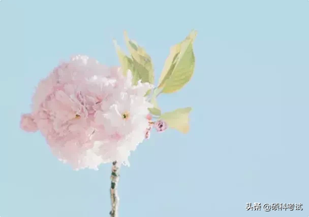 春雷响万物长,语文描写春天春雨的好词好句好段,不收藏可惜了!