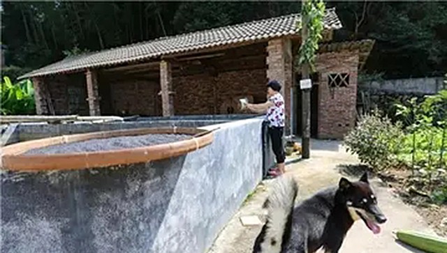 20岁兵哥哥救火牺牲，追思会万人自发送行，如今失独夫妻收获一女