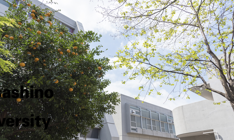 日语多好才能合格这些院校？