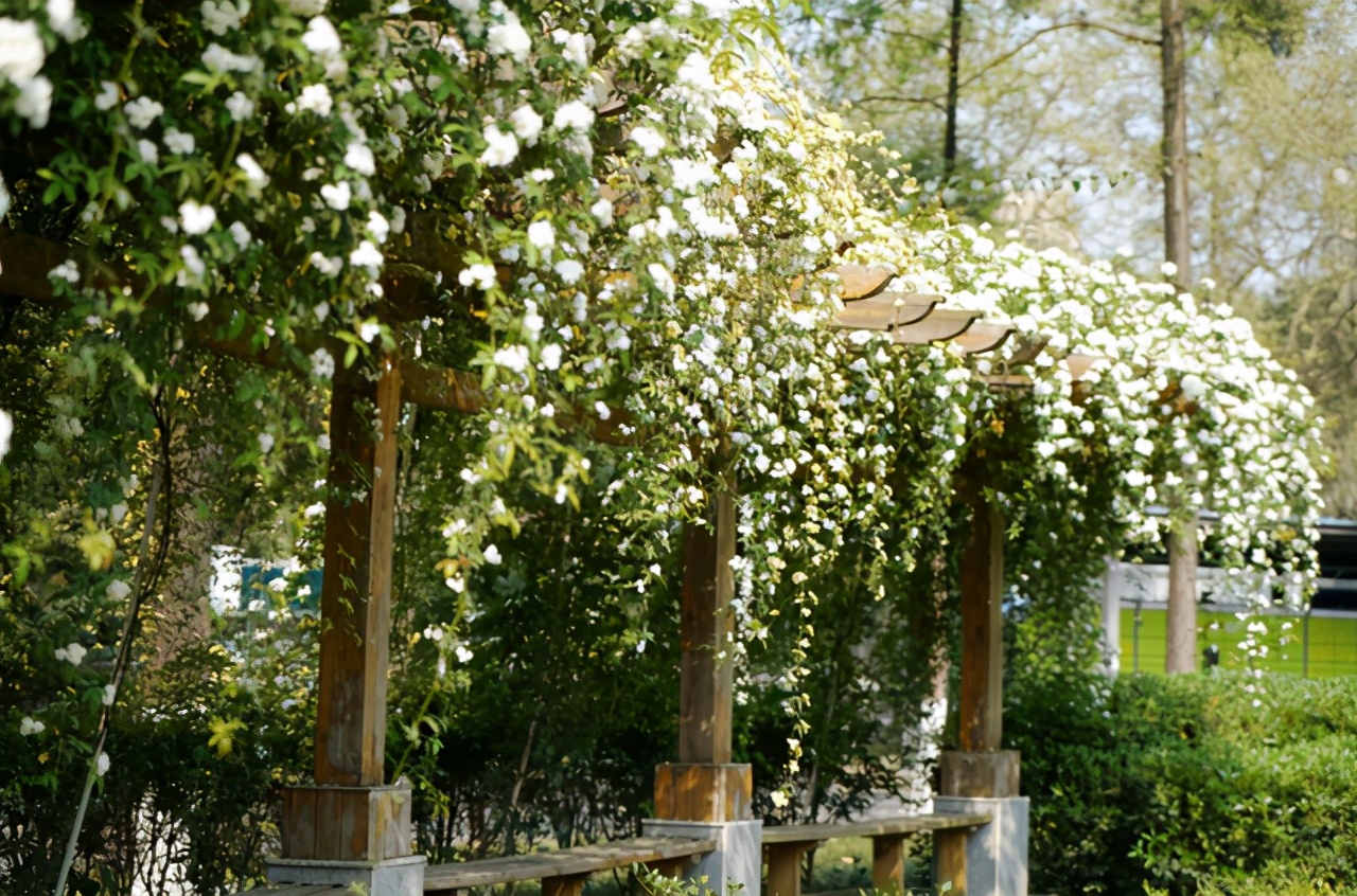 电子科技大学录取分最高的5大专业，个个是热门，好就业薪资高