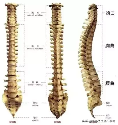 还在用定型枕给宝宝睡头型？快住手！不到这年龄不要给宝宝用枕头