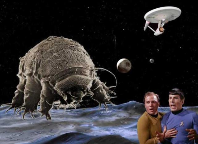 那么它们至少可以活几十年,就像科幻电影中的人类进入了休眠舱一样