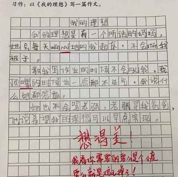 小学生作文《我的理想》获满分，老师评语亮了：注意你的同桌