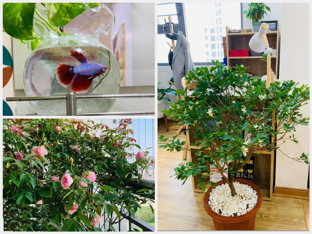 花光積蓄買房，裝潢費能省就省，歷時3個月終於完工，只花了5.5萬