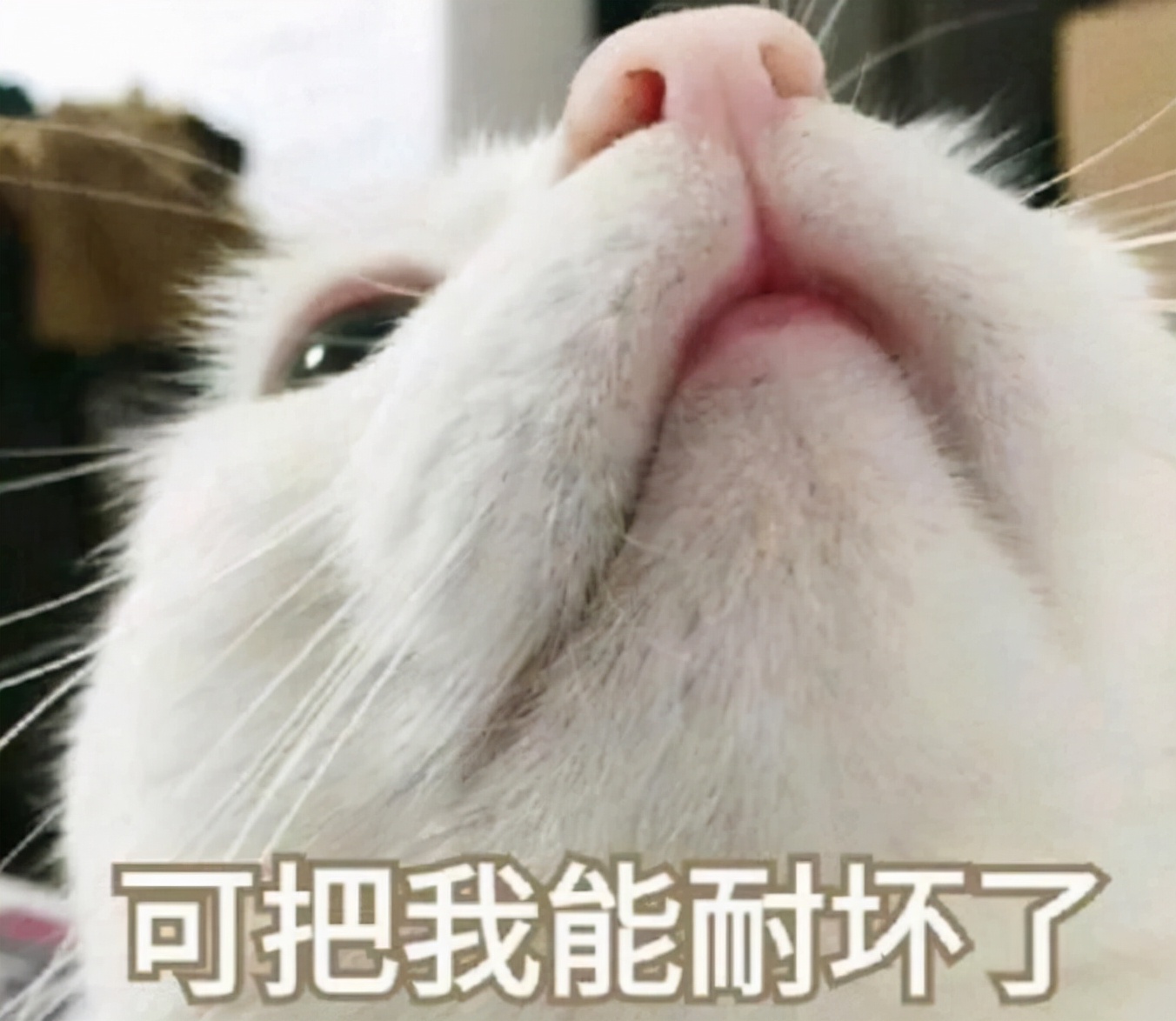 大一新生军训：汗水浇灌成长，青春绽放军营风采