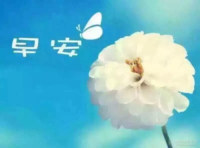 早安心语：人生无完美，曲折也风景，只有随遇而安，才能随心所欲