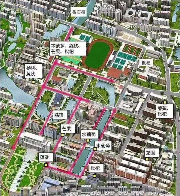 广西大学地图（那些别人家的大学）